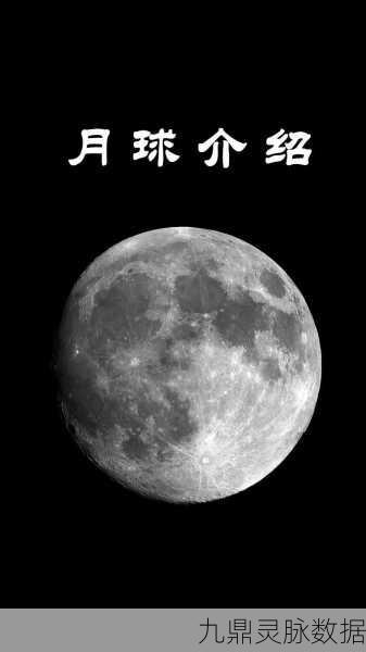 月球上的商业奇梦，经营你的月球超市