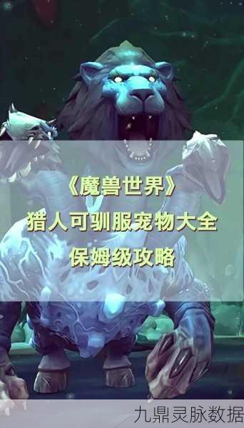 暗黑猎手深度探索，揭秘宠物世界的多样与奇趣