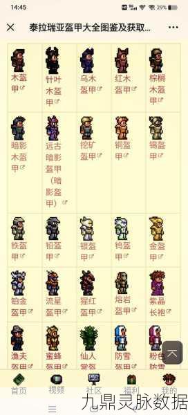泰拉瑞亚冰霜龟甲，玩家必备的高级防御神器