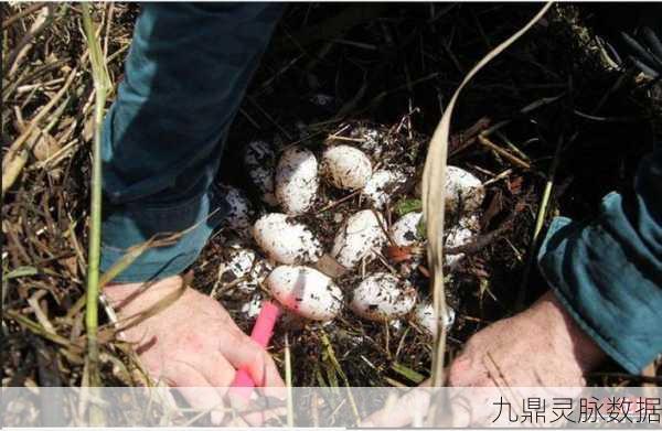 方舟手游鳄鱼蛋孵化全攻略,空调孵化技巧揭秘