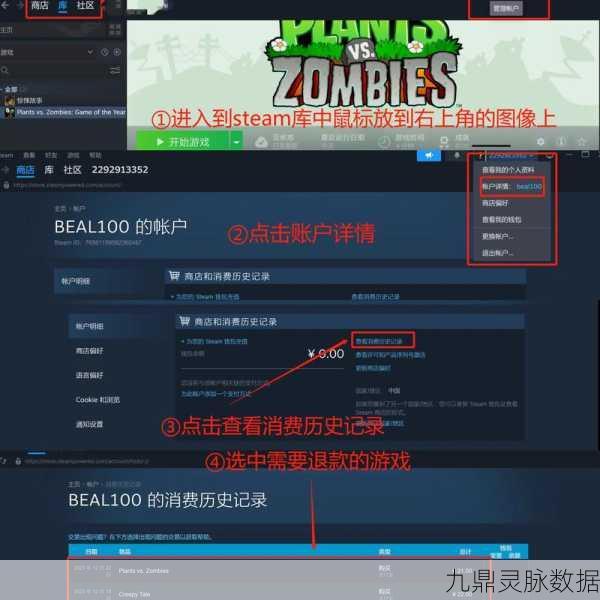 Steam退款次数揭秘,频繁退款是否会被视为恶意?