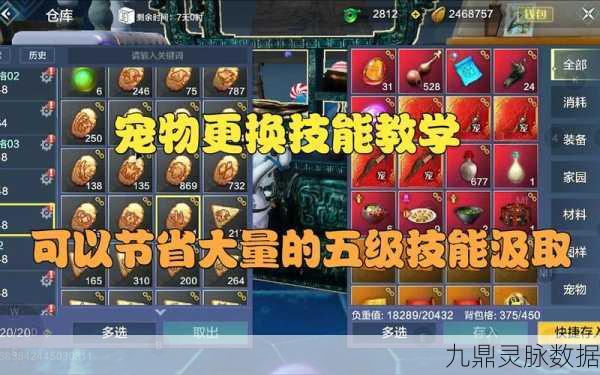 妄想山海骑宠技能汲引,深度剖析与实战技巧