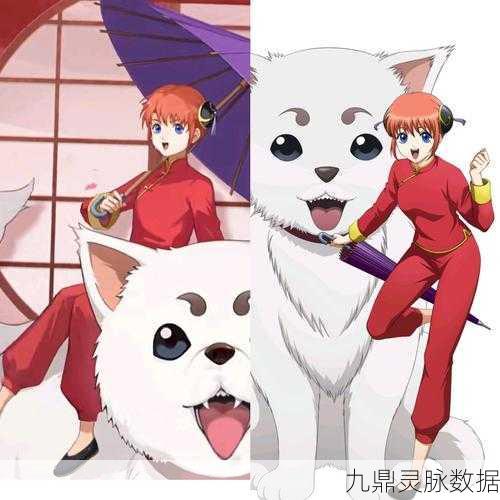 阴阳师联动角色坂田银时与神乐深度对比