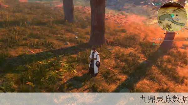 河洛群侠传,青城弟子的烦恼支线任务深度解析