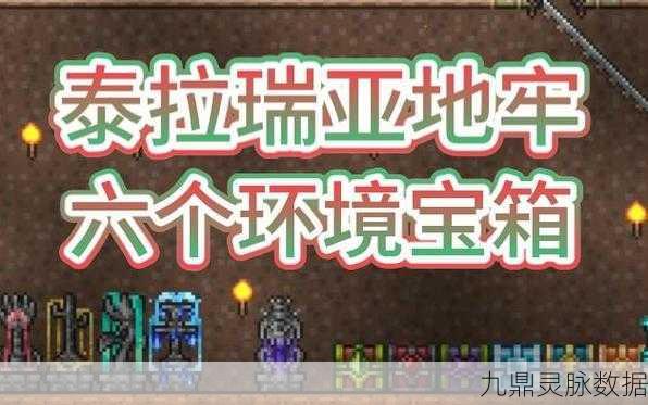 泰拉瑞亚地牢探险全揭秘，解锁特殊宝箱钥匙的终极秘籍