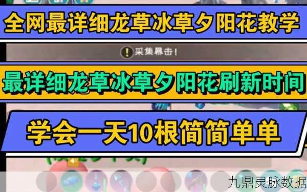 揭秘创造与魔法火龙草刷新时间，探险家们的必备攻略