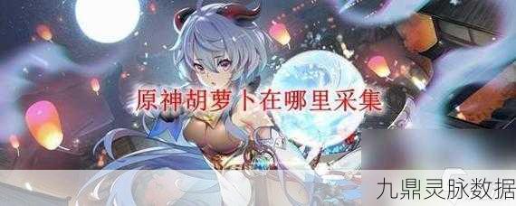 原神玩家大揭秘,胡萝卜的非凡潜能,解锁探险战斗新境界