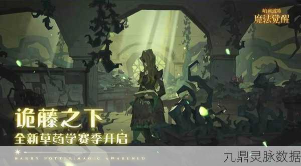哈利波特魔法觉醒,深入探索,揭秘草药探险的隐秘角落