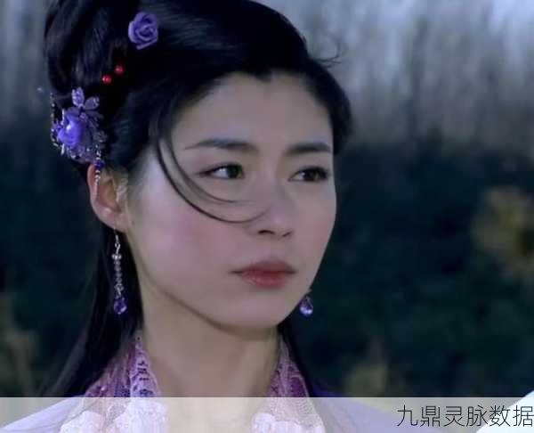 楚留香传奇新篇章，玉剑公主后，顺天府寻胡铁花的奇妙之旅
