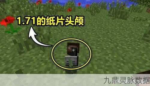我的世界生物头颅合成秘籍,打造你的独特装饰