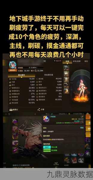 DNF肝帝揭秘,雇佣兵月入4千万真相探究