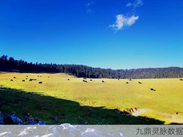 青青草原的奇幻之旅，穿梭古今，探寻文明中的绿意奥秘