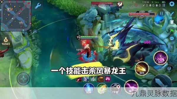 王者荣耀深度解析，龙王与主宰的战场博弈