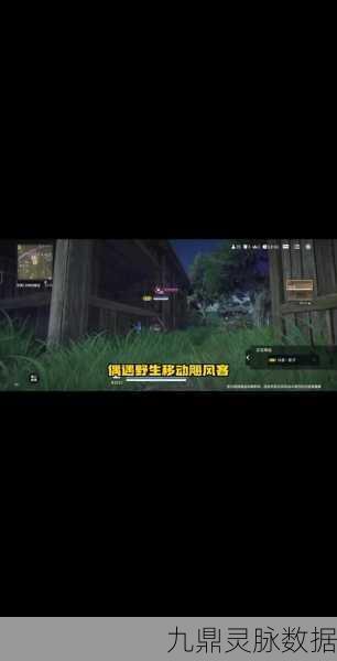 永劫无间飓风客任务深度攻略,资源管理大师,速通秘籍大公开