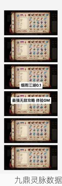 烟雨江湖，贺庄主的包裹之谜，揭秘江湖背后的秘密交易