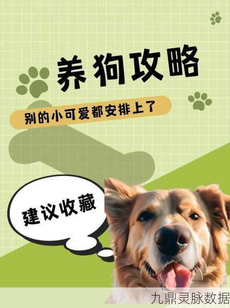 宠物狗生活模拟,萌宠养成新纪元,开启你的养狗之旅