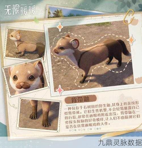 无限暖暖，解锁动物灵感，绘制创意时尚之旅全攻略