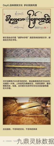 探秘文字生存之旅,开拓者单机版深度解析