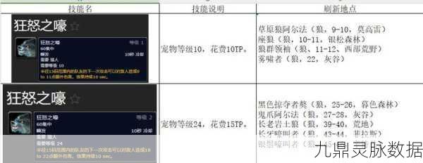 魔兽世界TBC猎人宝宝俯冲技能全揭秘,终极攻略与等级上限详解