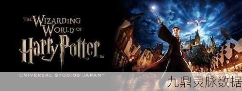 哈利波特魔法世界,解锁2级舞蹈秘籍,资源优化大师养成记