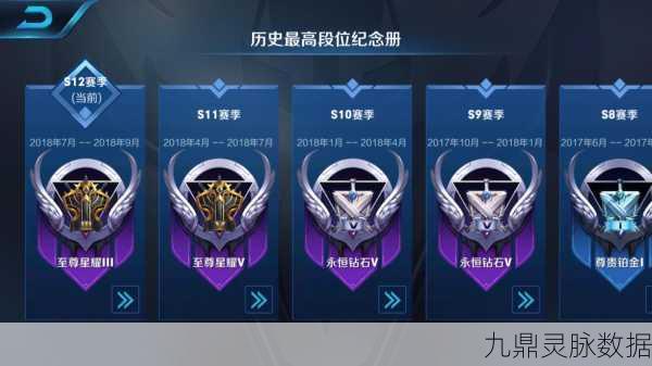 王者荣耀赛年标签设置全攻略，解锁你的专属荣耀印记