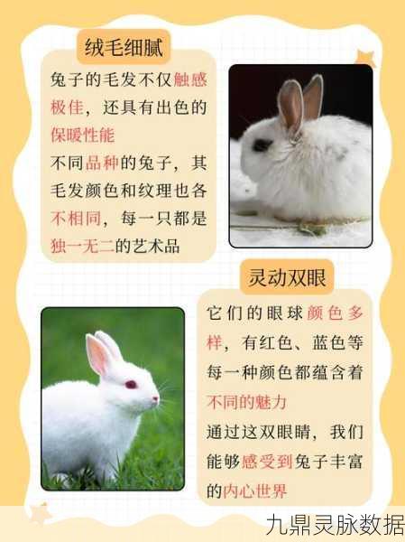 会说话的兔子,萌宠养成新纪元,趣味玩法等你探索