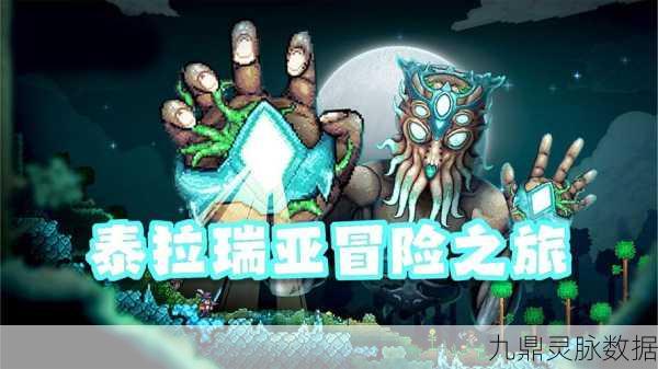 泰拉瑞亚，揭秘虫洞获取与使用的奇妙之旅