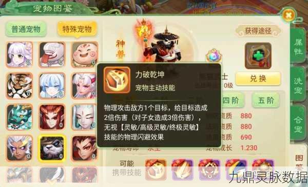 西游女儿国坐骑技能选择全攻略，打造你的专属战斗伙伴