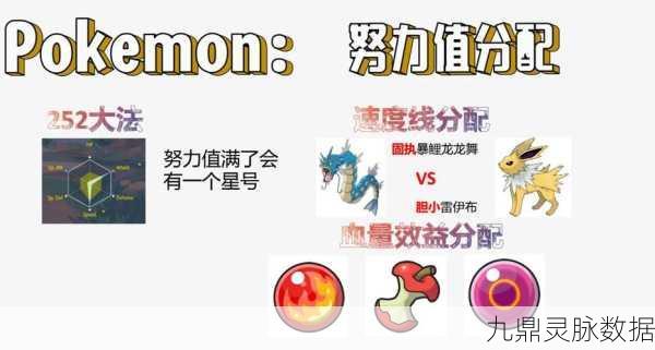 宝可梦剑盾高效攻略，改时间刷努力值全解析