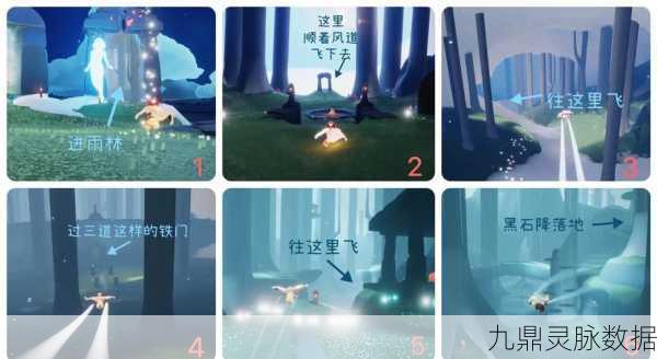 光遇雨林探险，揭秘黑石碎片的藏匿之处