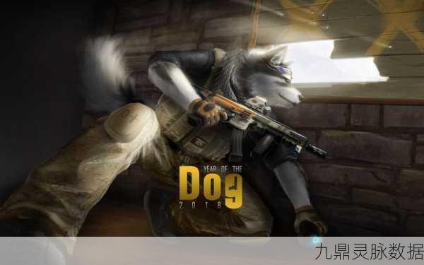 彩虹六号围攻光盘安装全攻略,解锁每个光盘的奥秘