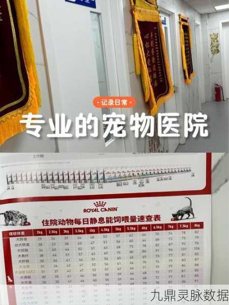 毛绒宠物医院，打造你的梦幻宠物诊疗王国