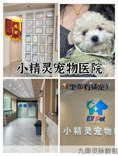 毛绒宠物医院,打造你的梦幻宠物诊疗王国