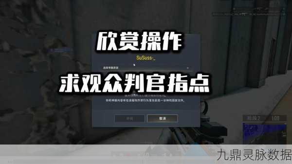 绝地求生大逃杀亚服全解析,服务器位置与特色介绍