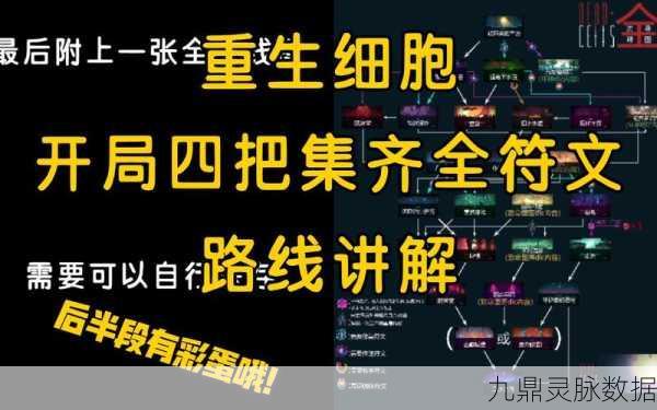 重生细胞飞头,解锁游戏新玩法的神秘符文