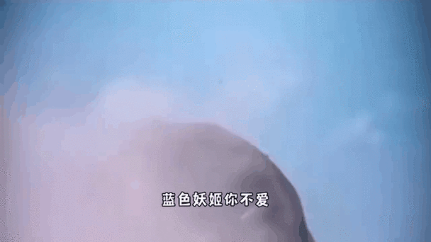 口袋妖怪蓝色妖姬，探索奇幻世界的冒险之旅