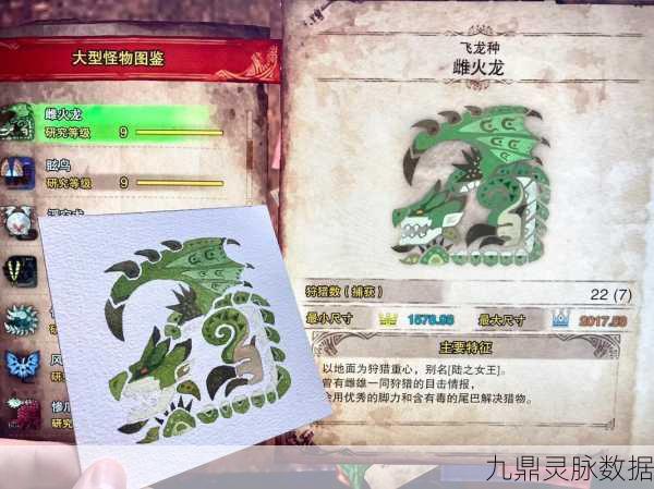 怪物猎人深度探索，揭秘飞龙蛋的隐秘栖息地及高效获取攻略