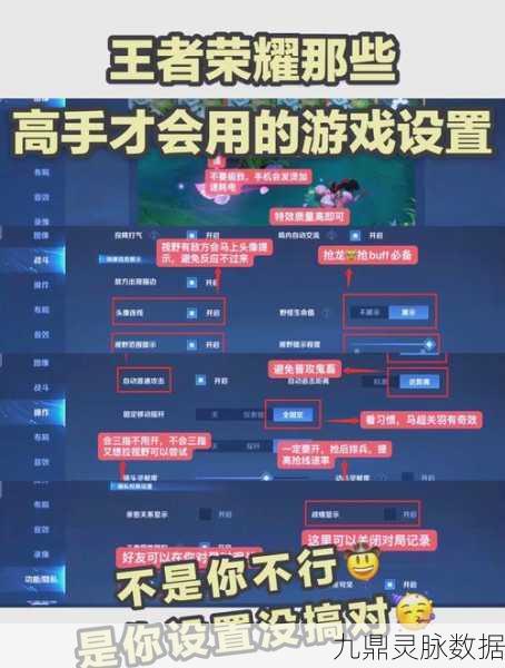 王者荣耀高手秘籍，巧妙隐藏战绩，保持神秘感！