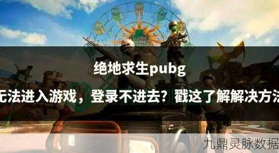 绝地求生无法启动？全面解析与应对策略