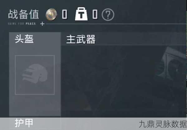 和平精英，解锁钢枪王之路的实战秘籍