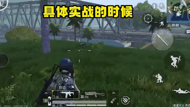 和平精英,解锁钢枪王之路的实战秘籍