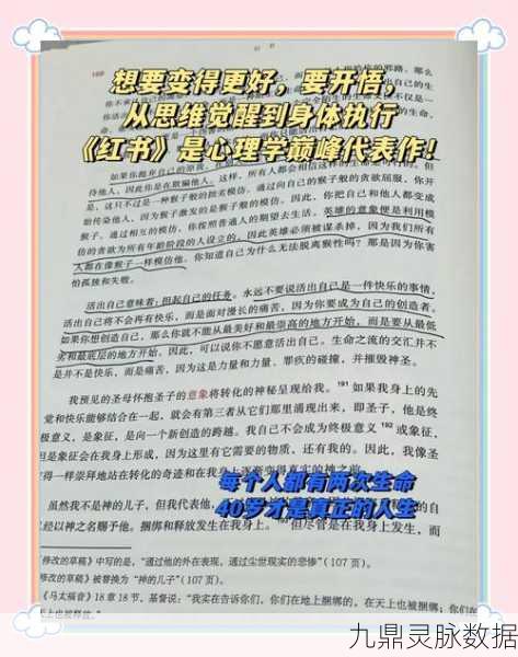 命运圣契椰格,技能奥秘、角色定位与实战风采全面剖析