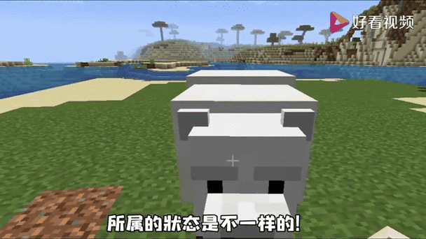 我的世界北极熊繁殖秘籍,萌宠养成记
