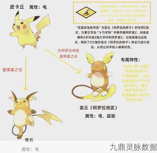 口袋妖怪VS,小拉达全面解析,萌宠也有大能量