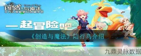 创造与魔法,掌握扔掷技巧,探索无限可能