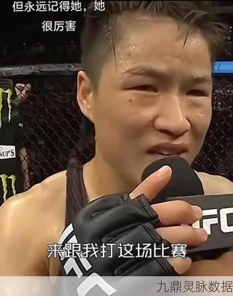 乔安娜VS张伟丽,格斗巅峰燃爆指尖,手游玩家如何沉浸式体验?
