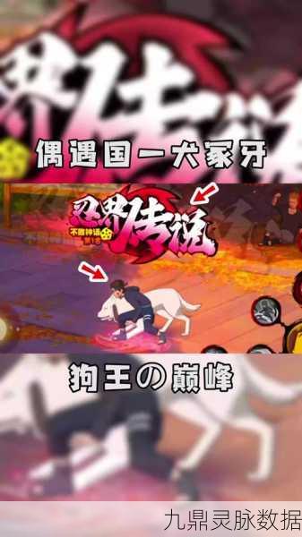 火影忍者手游犬冢牙获取途径大揭秘