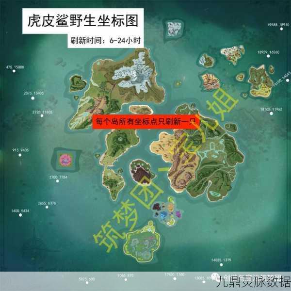 创造与魔法鲨鱼位置全揭秘，探索海洋深处的神秘生物