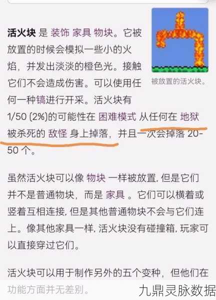 泰拉瑞亚诅咒活火块，解锁神秘力量的探险秘籍