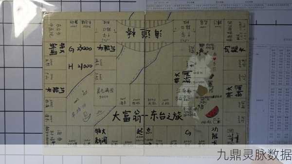 大富翁9五星卡牌深度解析，无效卡的奇妙之旅